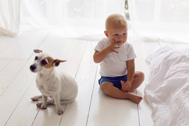 bambino in una maglietta bianca e pantaloncini sedersi a casa con il cane - dog baby t shirt child foto e immagini stock