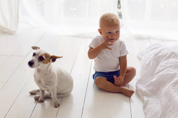 dziecko w białym t-shircie i szortach siedzieć w domu z psem - dog baby t shirt child zdjęcia i obrazy z banku zdjęć