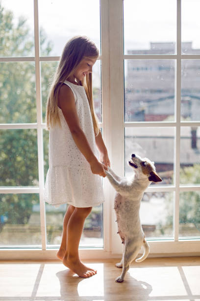 istock girl in a white dress with dog 1168027321