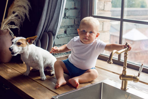 enfant dans un t-shirt blanc s'asseyant dans la cuisine avec un chien à l'évier - dog baby t shirt child photos et images de collection