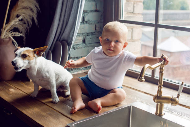 dziecko w białym t-shircie siedzącym w kuchni z psem przy zlewie - dog baby t shirt child zdjęcia i obrazy z banku zdjęć