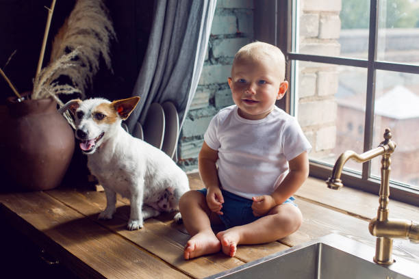 enfant dans un t-shirt blanc s'asseyant dans la cuisine avec un chien à l'évier - dog baby t shirt child photos et images de collection