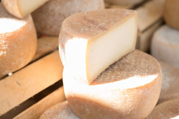 formaggio di pecora artigianale in mostra - farmers cheese foto e immagini stock