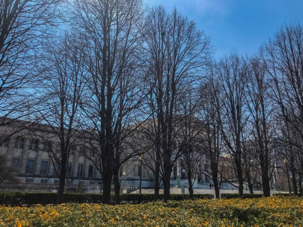 フィールド ミュージアム - グラント パーク - grounds city life park grant park ストックフォトと画像