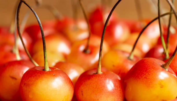 istock Background from ripe fruit of the sweet cherrieses 1168029699