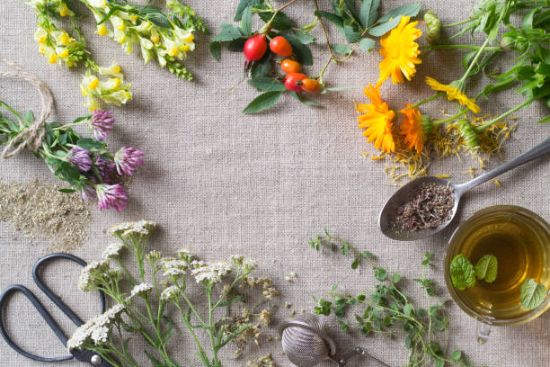 istock Fresh and dry healing herbs on cloth 1168030352