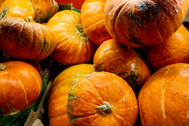 istock pumpkin closeup background selling in the store 1168031873