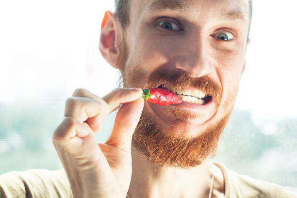 Handsome bearded man bites a red hot chili pepper and smiles.