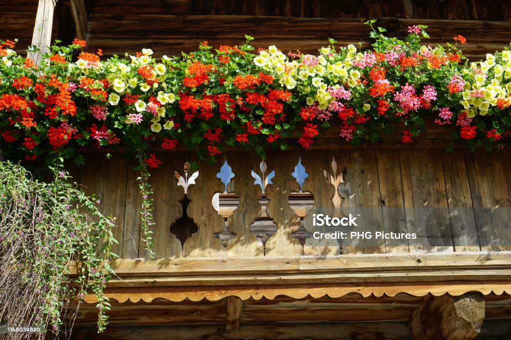 Kluisje voetstuk Spin Weelderige En Kleurrijke Geranium Bloemen Op Houten Balkon In Alpbach Tirol  Oostenrijk Stockfoto en meer beelden van Chalet - iStock