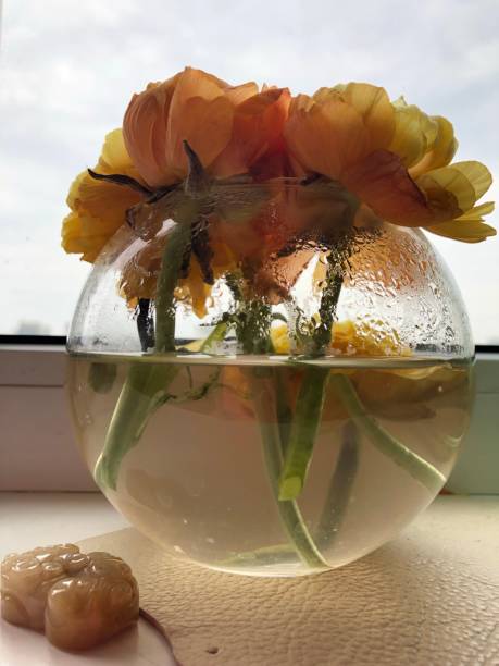 Window decorations with fresh flowers