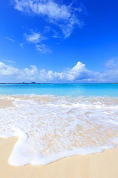 istock Beautiful tropical beach at Okinawa. 1168035910