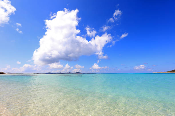 istock Beautiful tropical beach at Okinawa. 1168036918