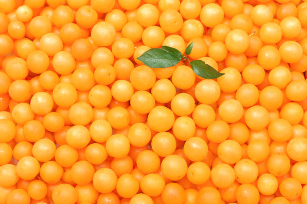 Yellow plum, mirabelle, cherry plum close-up. Summer season, harvest.