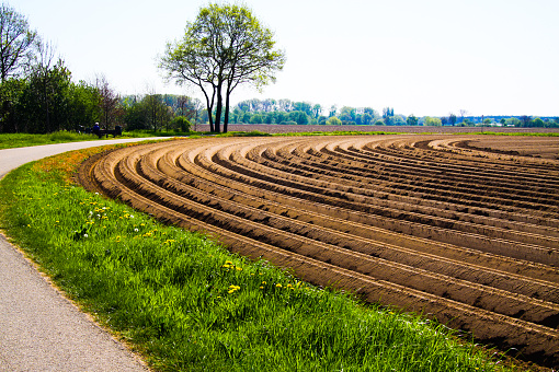 View on tilled plowed cropland with symmetrical curved furrows