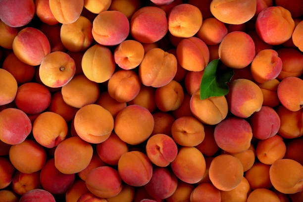 istock Top down view, pile of apricots, and one green leaf 1168037976