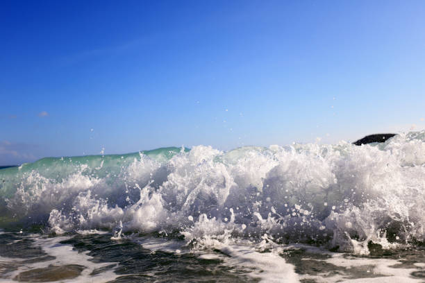 Beautiful tropical beach at Okinawa.