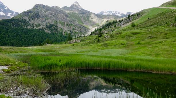 istock Lake in the high mountains 1168039440