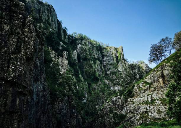 Cheddar Gorge is a limestone gorge in the Mendip Hills, near the village of Cheddar, Somerset, England. The gorge is the site of the Cheddar show caves, where Britain's oldest complete human skeleton, Cheddar Man, estimated to be over 9,000 years old, was found in 1903. Older remains from the Upper Late Palaeolithic era (12,000–13,000 years ago) have been found. The caves, produced by the activity of an underground river, contain stalactites and stalagmites. The gorge is part of a Site of Special Scientific Interest called Cheddar Complex.Cheddar Gorge, including the caves and other attractions, has become a tourist destination. In a 2005 poll of Radio Times readers, following its appearance on the 2005 television programme Seven Natural Wonders, Cheddar Gorge was named as the second greatest natural wonder in Britain, surpassed only by Dan yr Ogof caves.