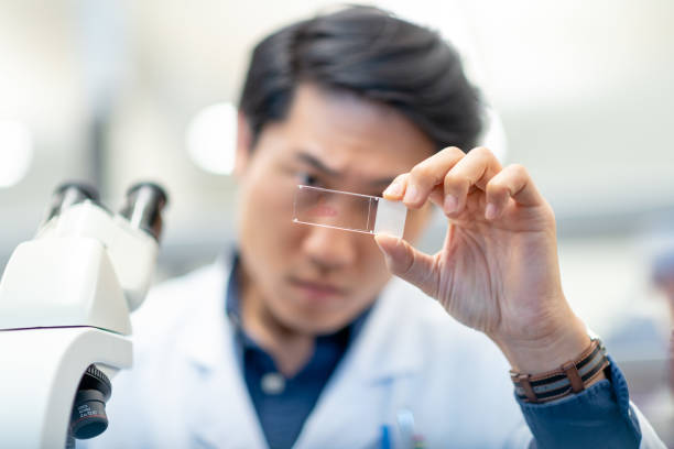 Male chemist analyzing test sample before placing it in microscope Selective focus shot of a Korean chemist's hand as he holds a slide containing a medical sample. The man is analyzing the test sample and has a serious expression on his face. He is about to place the sample in a microscope for further analysis. laboratory chemist scientist medical research stock pictures, royalty-free photos & images