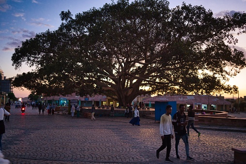 Aksum, Ethiopia - December 30, 2018: People walking in the street in Aksum, Ethiopia in the evening, near a big tree and with the sun lighting in the distance.