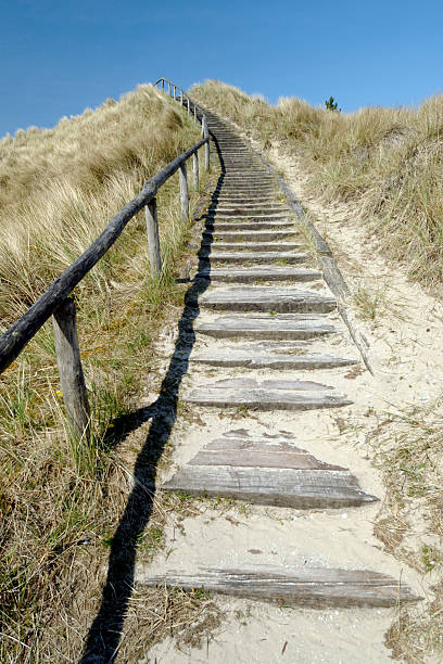 A wooden stairway leading to the top of a dune