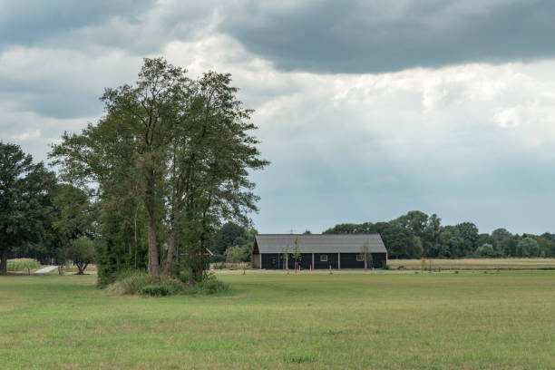 istock Barn and group of trees under cloudy sky in rural landscape. 1168044480