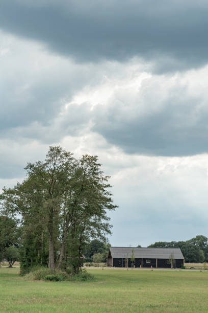 istock Barn and group of trees under cloudy sky in rural landscape. 1168044497