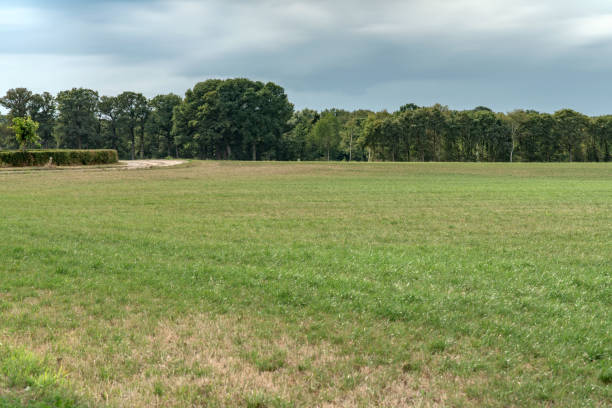 istock Meadow with trees on horizon under cloudy sky. Long exposure shot. 1168044599