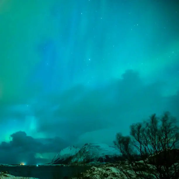 Photo of Amazing Picturesque Unique Nothern Lights Aurora Borealis Over Lofoten Islands in Nothern Part of Norway. Over the Polar Circle. Square Image Composition