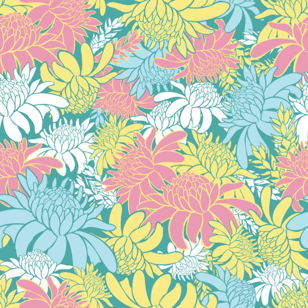 illustrations, cliparts, dessins animés et icônes de motif sans couture coloré et coloré de pastel vectoravec des fleurs tropicales de gingembre de torche. convient pour le textile, enveloppement cadeau et papier peint. - torch ginger