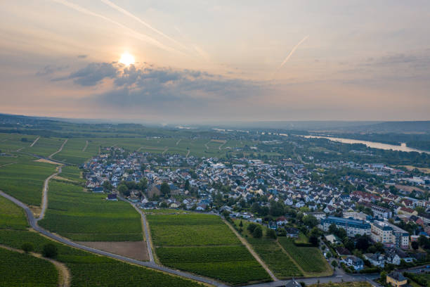 istock Rudesheim am Rhein 1168049428