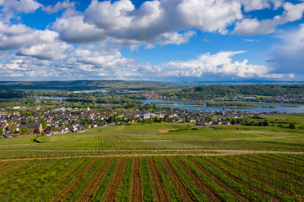 istock Rudesheim am Rhein 1168049951