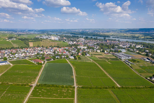 Rudesheim am Rhein