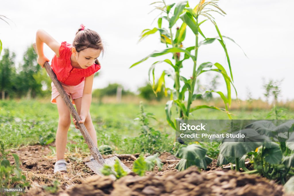 Catástrofe Interior Contemporáneo Chica Dulce Ayudando Con La Pala En El Jardín Foto de stock y más banco de imágenes de Niñas - Niñas, Pala - Herramienta de trabajo, Excavar - iStock Catástrofe Interior Contemporáneo Chica Dulce Ayudando Con La Pala En El Jardín Foto de stock y más banco de imágenes de Niñas - Niñas, Pala - Herramienta de trabajo, Excavar - iStock