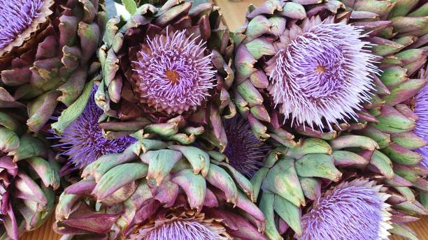 istock Artichoke purple flowers blooming blossom 1168053639