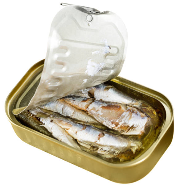 istock Open can of sardines 1168053879