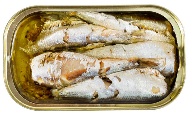 istock Open can of sardines in oil 1168053911