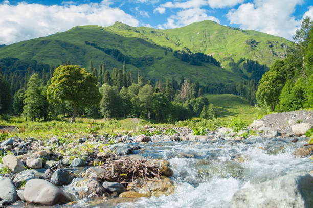 istock Mountain river valley landscape. Mountain valley river panorama. Mountain river flow. 1168055332