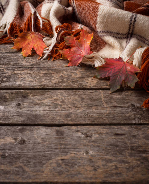 istock Autumn background with plaid and leaves 1168057657