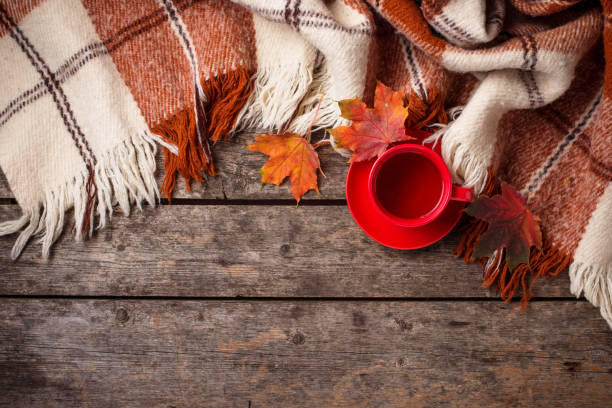 istock Autumn background with cup of tea, plaid and leaves 1168057663