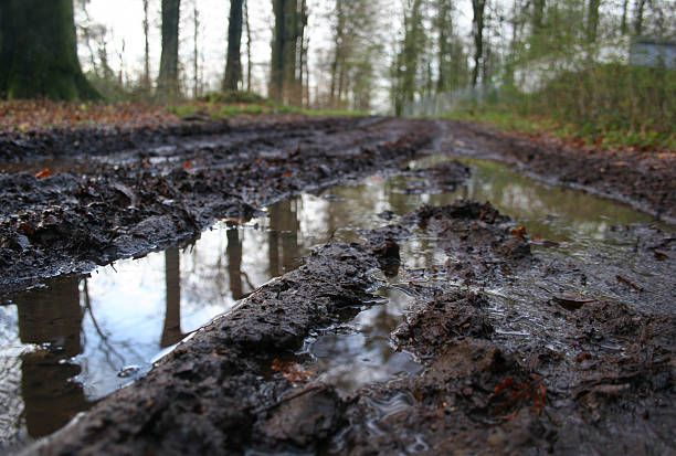 mud en un bosque cerca de saarbrücken, alemania pista - fahrspur fotografías e imágenes de stock