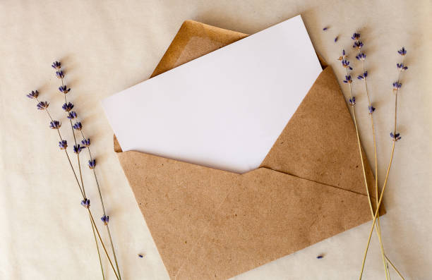 fiori viola secchi alla lavanda. flatlay minimo, spazio di copia. ornamento floreale. texture organica. - invitation letter envelope greeting card foto e immagini stock