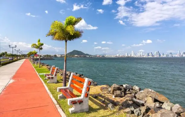 The Amador Causeway road, Panama City famous booming boardwalk and tourist attraction, dotted with park benches and palm trees, with distant city center skyline on horizon