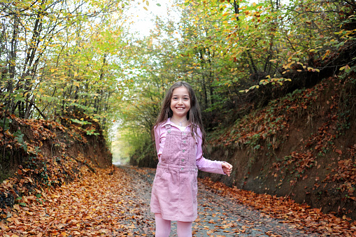 Portrait of little happy girl on footpath covered with autumn leaves, autumn time in forest