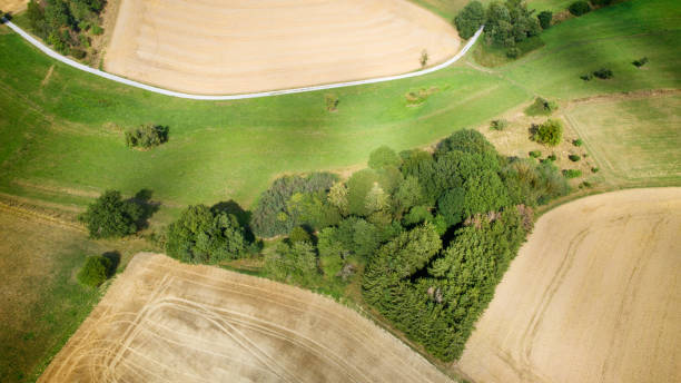 istock Agricultural area - aerial view 1168065989