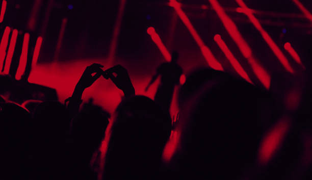 istock Enjoying at music festival. 1168066012