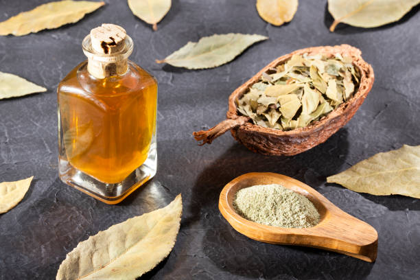 istock Organic laurel oil - Laurus nobilis 1168066978
