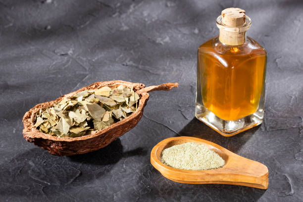 istock Organic laurel oil - Laurus nobilis 1168068206