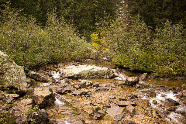 istock Jackson Hole Wyoming Region 1168069518
