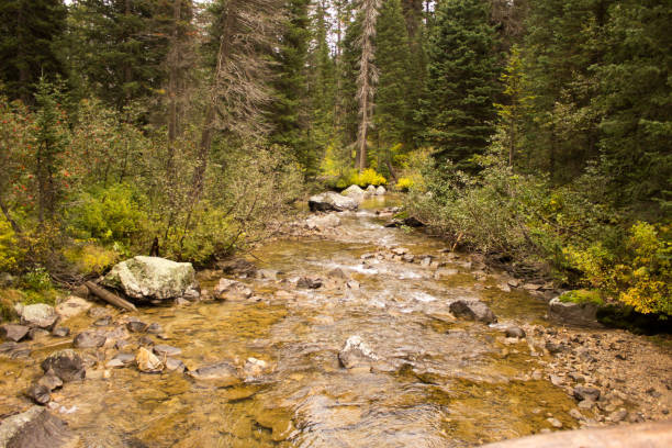 istock Jackson Hole Wyoming Region 1168069527